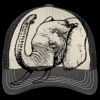 Tri Tone Mesh Back Cap Thumbnail