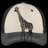 Tri Tone Mesh Back Cap Thumbnail