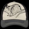 Tri Tone Mesh Back Cap Thumbnail
