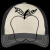 Tri Tone Mesh Back Cap Thumbnail