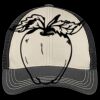 Tri Tone Mesh Back Cap Thumbnail