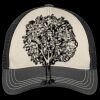 Tri Tone Mesh Back Cap Thumbnail