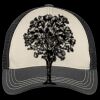 Tri Tone Mesh Back Cap Thumbnail