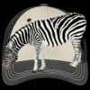 Tri Tone Mesh Back Cap Thumbnail