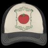 Tri Tone Mesh Back Cap Thumbnail