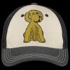 Tri Tone Mesh Back Cap Thumbnail