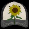 Tri Tone Mesh Back Cap Thumbnail