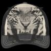Tri Tone Mesh Back Cap Thumbnail